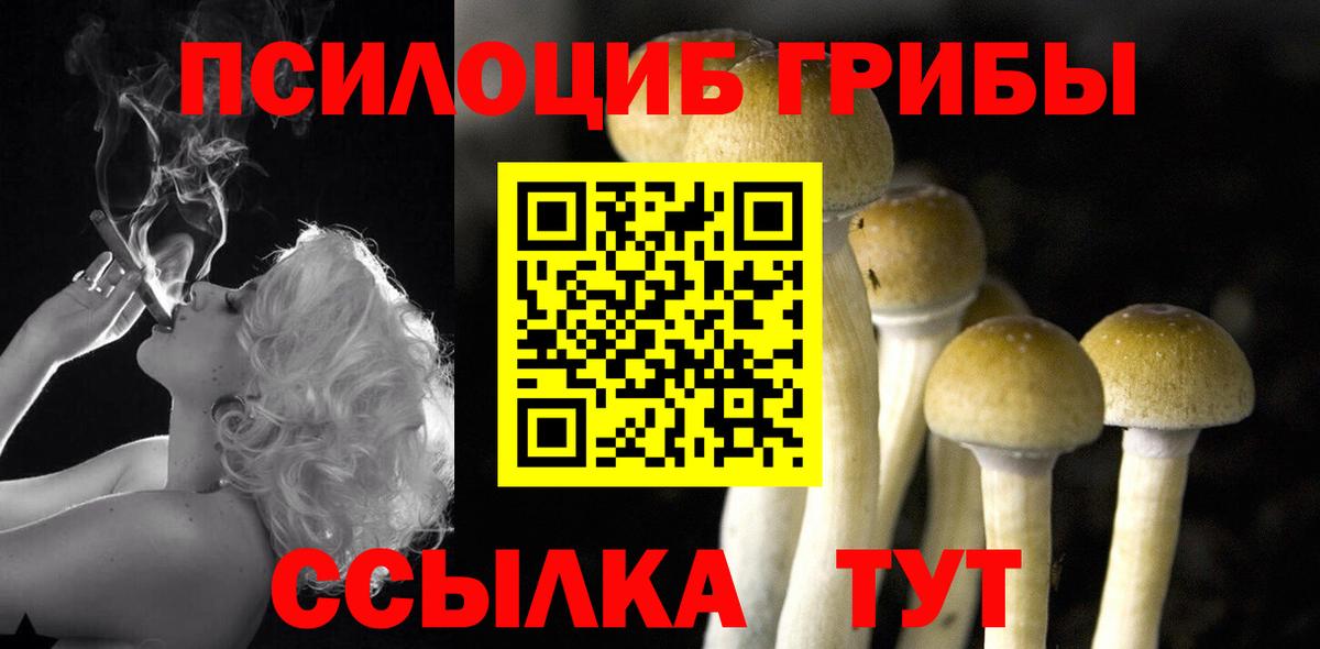 Псилоцибиновые грибы мухоморы  Псилоцибиновые грибы Psilocybine cubensis  магазин продажи наркотиков  Десногорск  Вход с VPN 